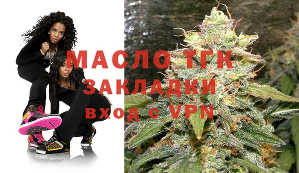 дмт Билибино