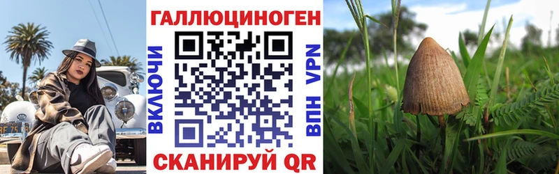 гидра   Стрежевой  Псилоцибиновые грибы Psilocybe 